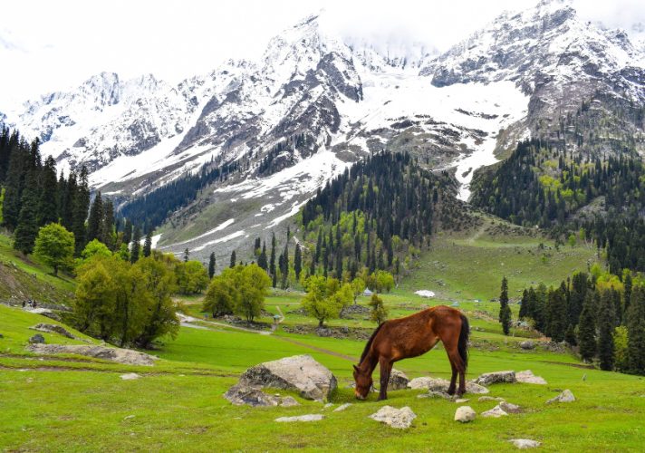 kashmir kashmir